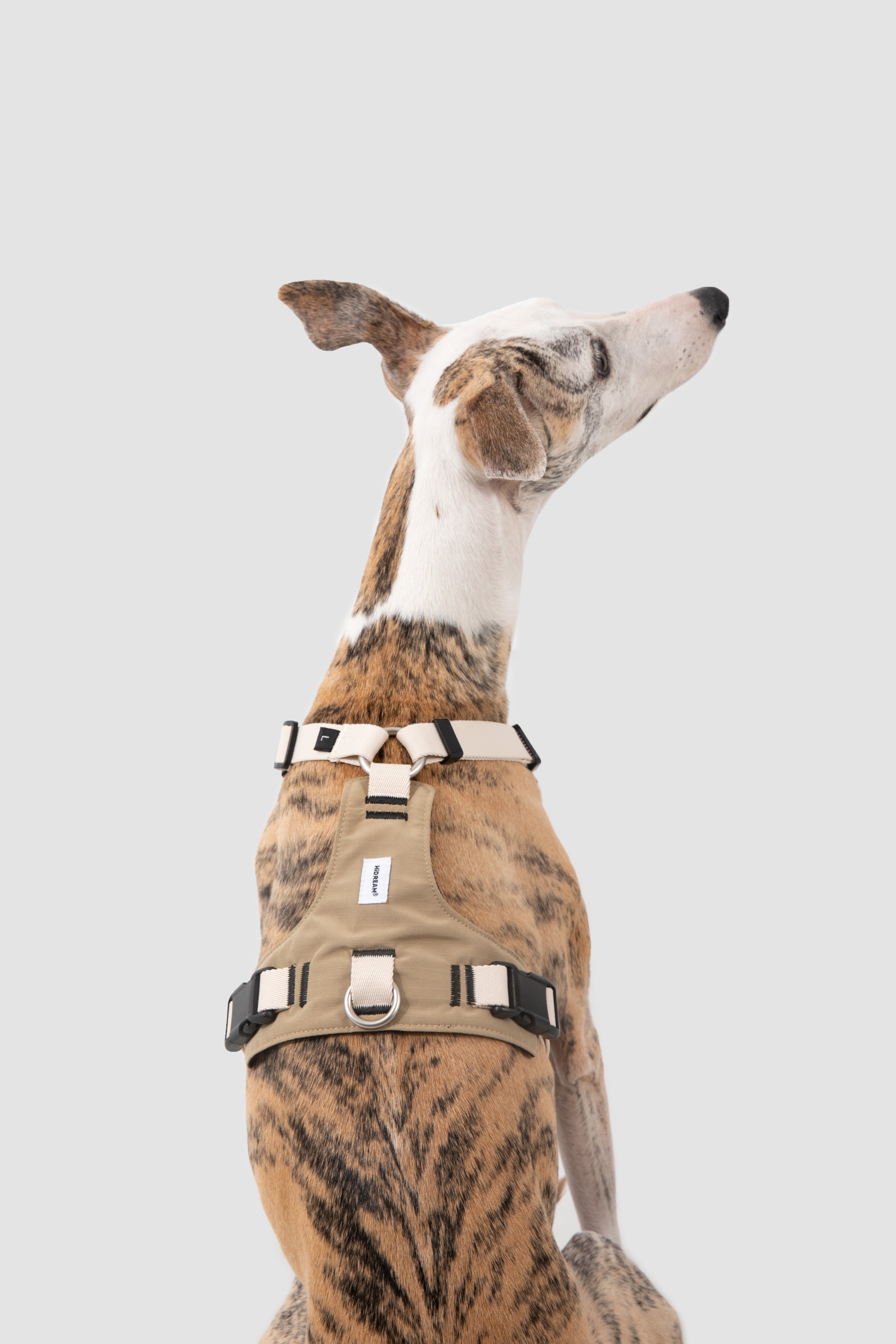 Ergonomic Dog Harness
