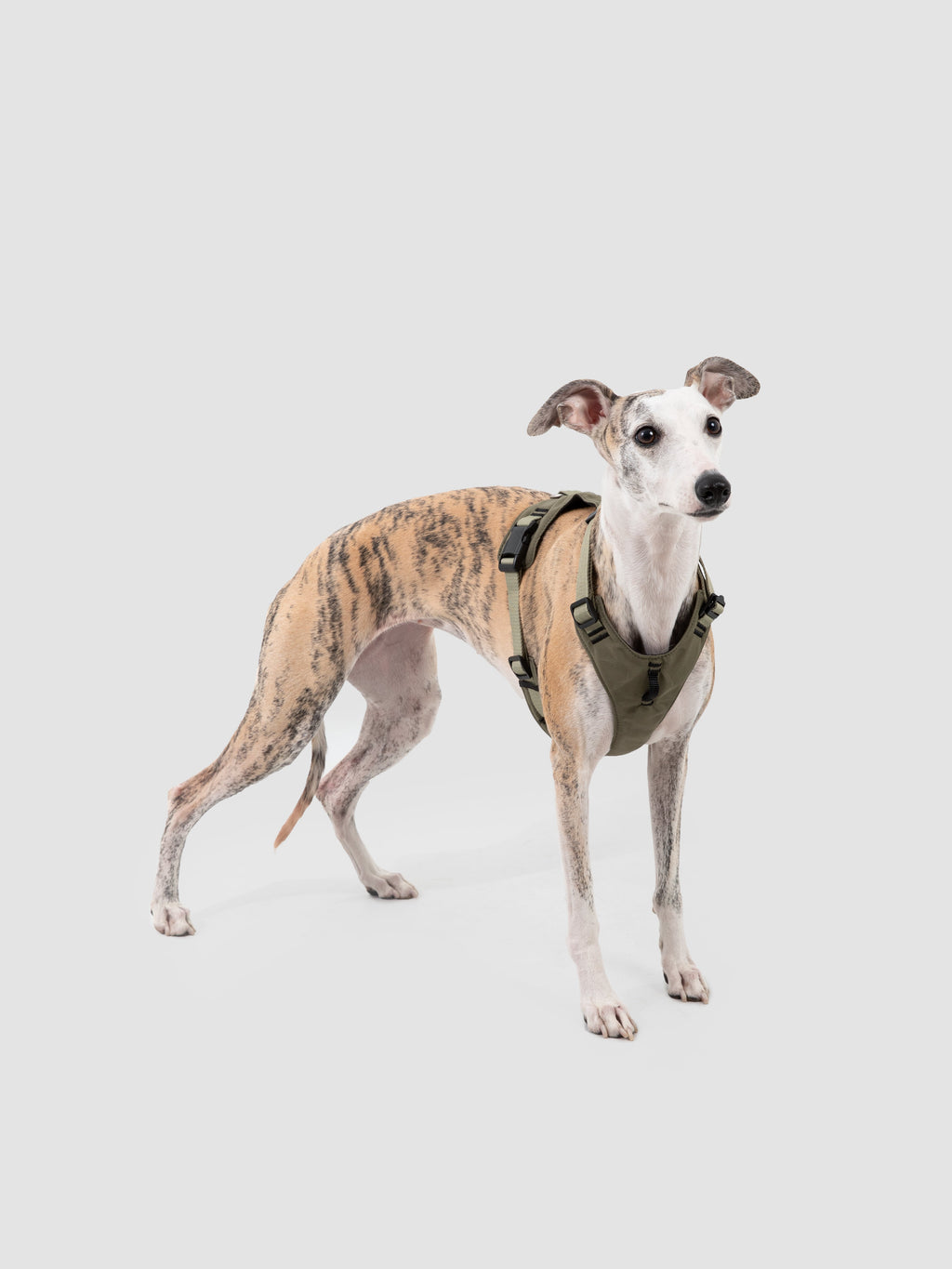 Ergonomic Dog Harness