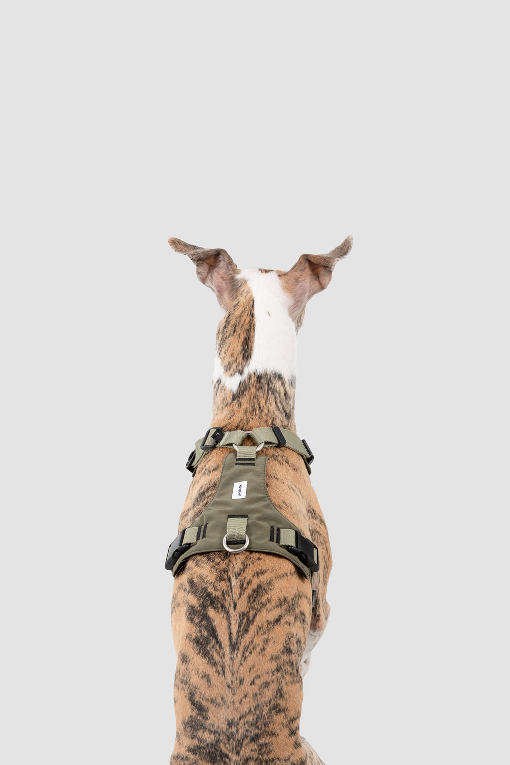 Ergonomic Dog Harness