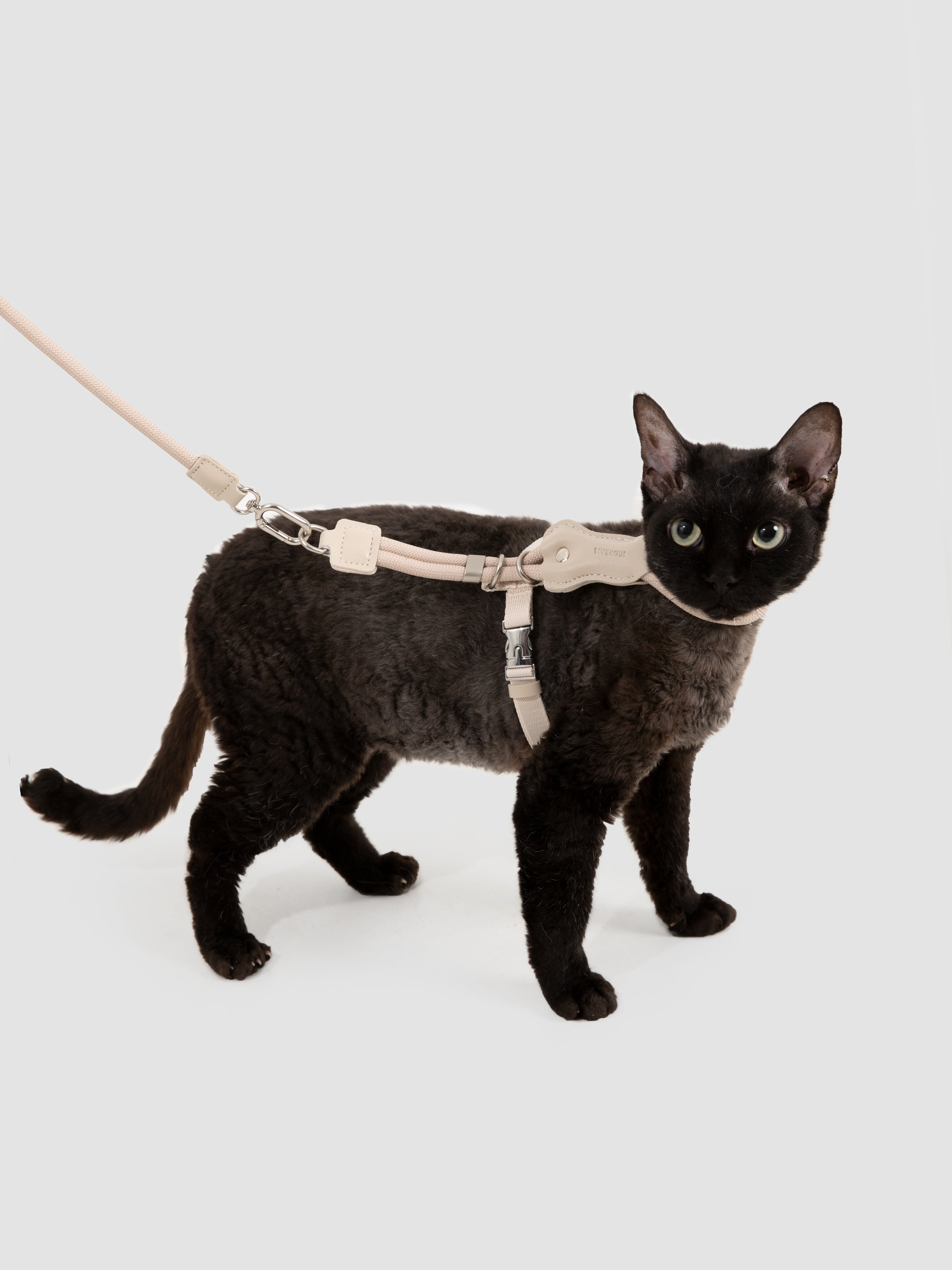 Cat Harness Leash Set