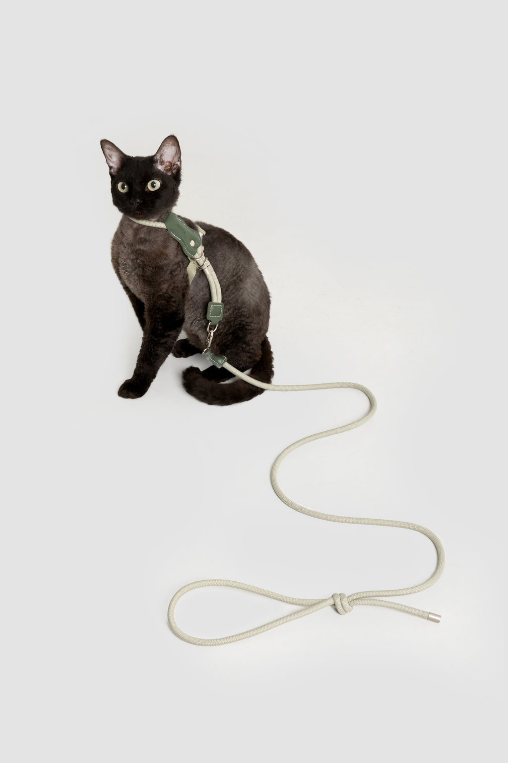 Cat Harness Leash Set