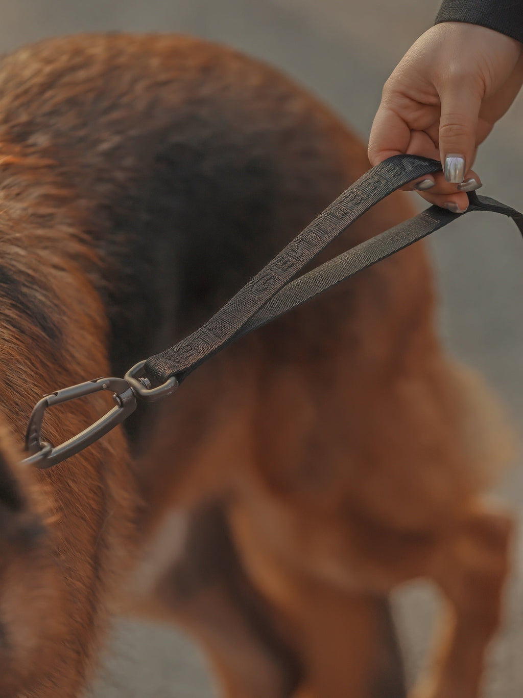 GENTLEBEAST green dog leash featuring durable material and a comfortable grip for walking your pet.
