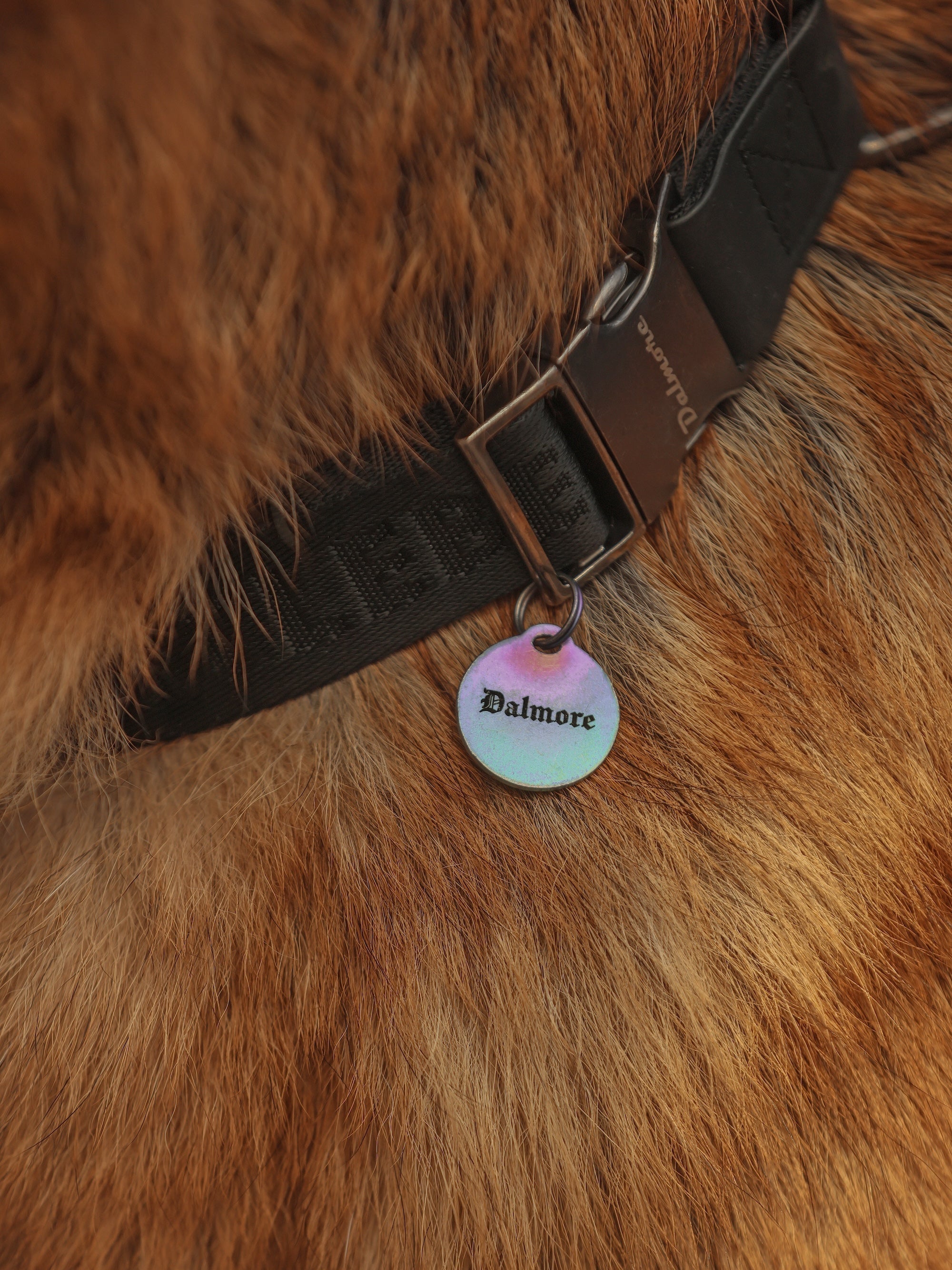 Dog Collar Green - VOF