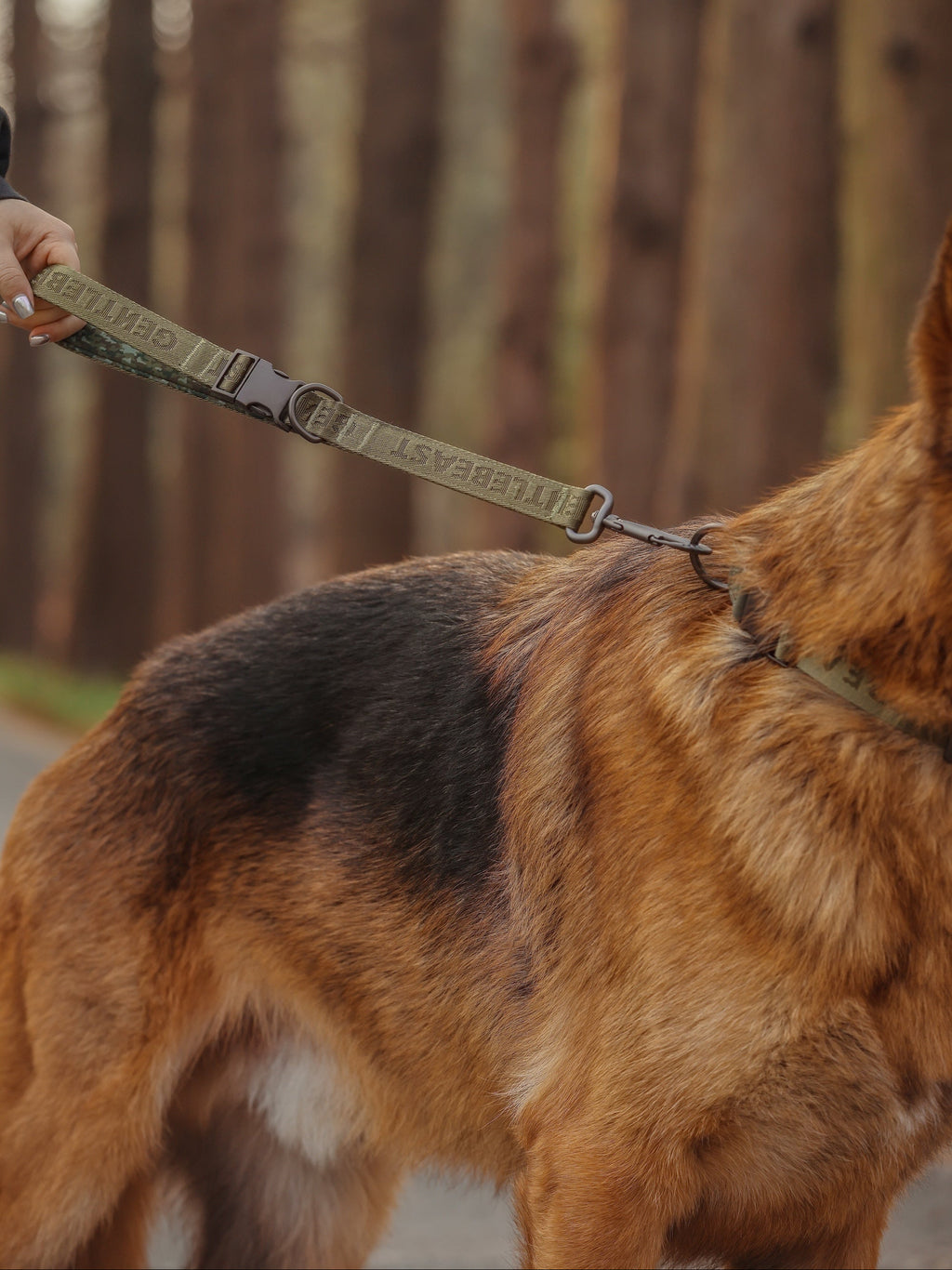 GENTLEBEAST green short dog leash displayed on a neutral background, showcasing its sturdy design and comfortable grip.