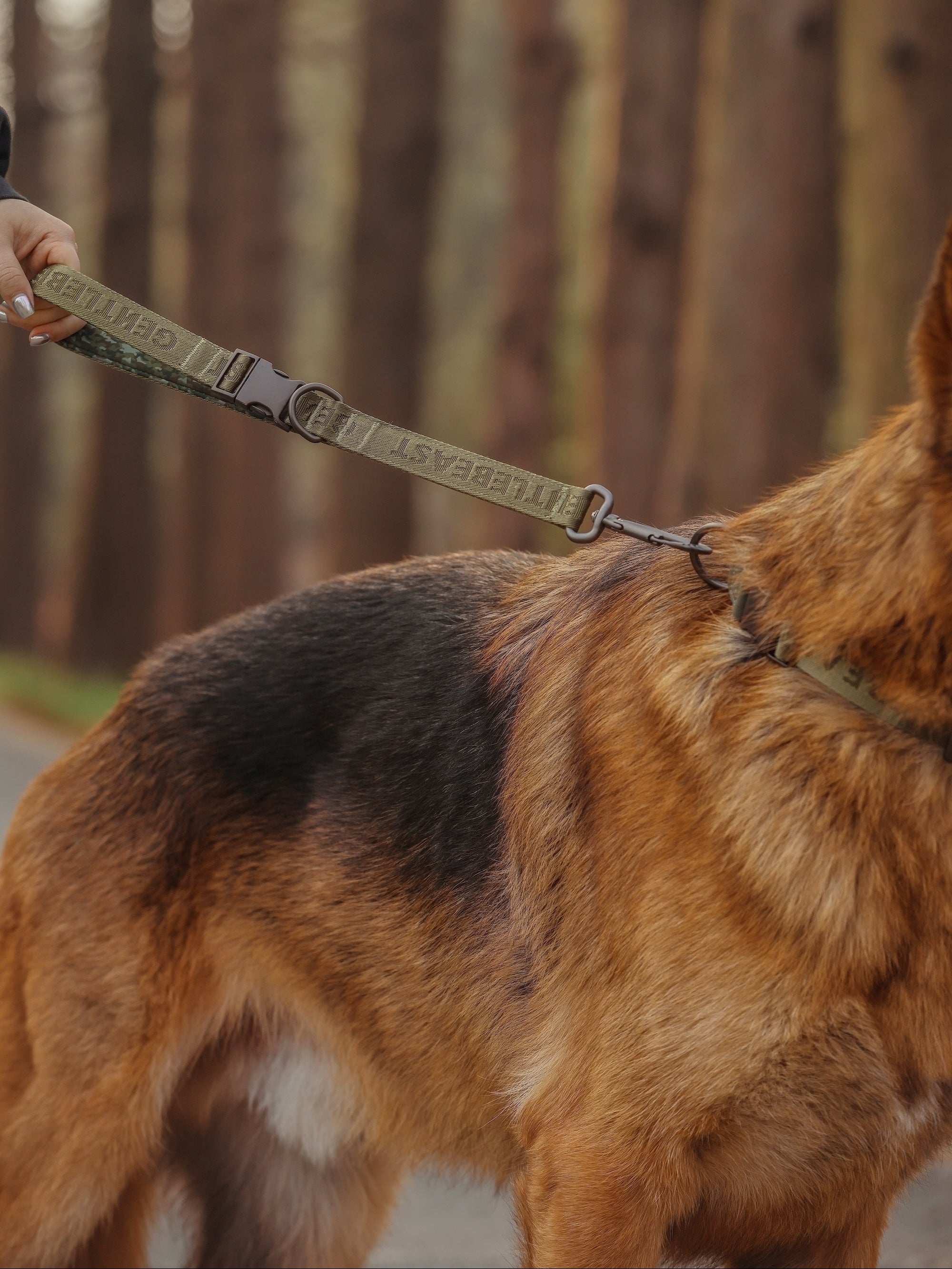 GENTLEBEAST green short dog leash displayed on a neutral background, showcasing its sturdy design and comfortable grip.