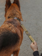 GENTLEBEAST green dog short leash displayed on a wooden surface with a metal clip visible.