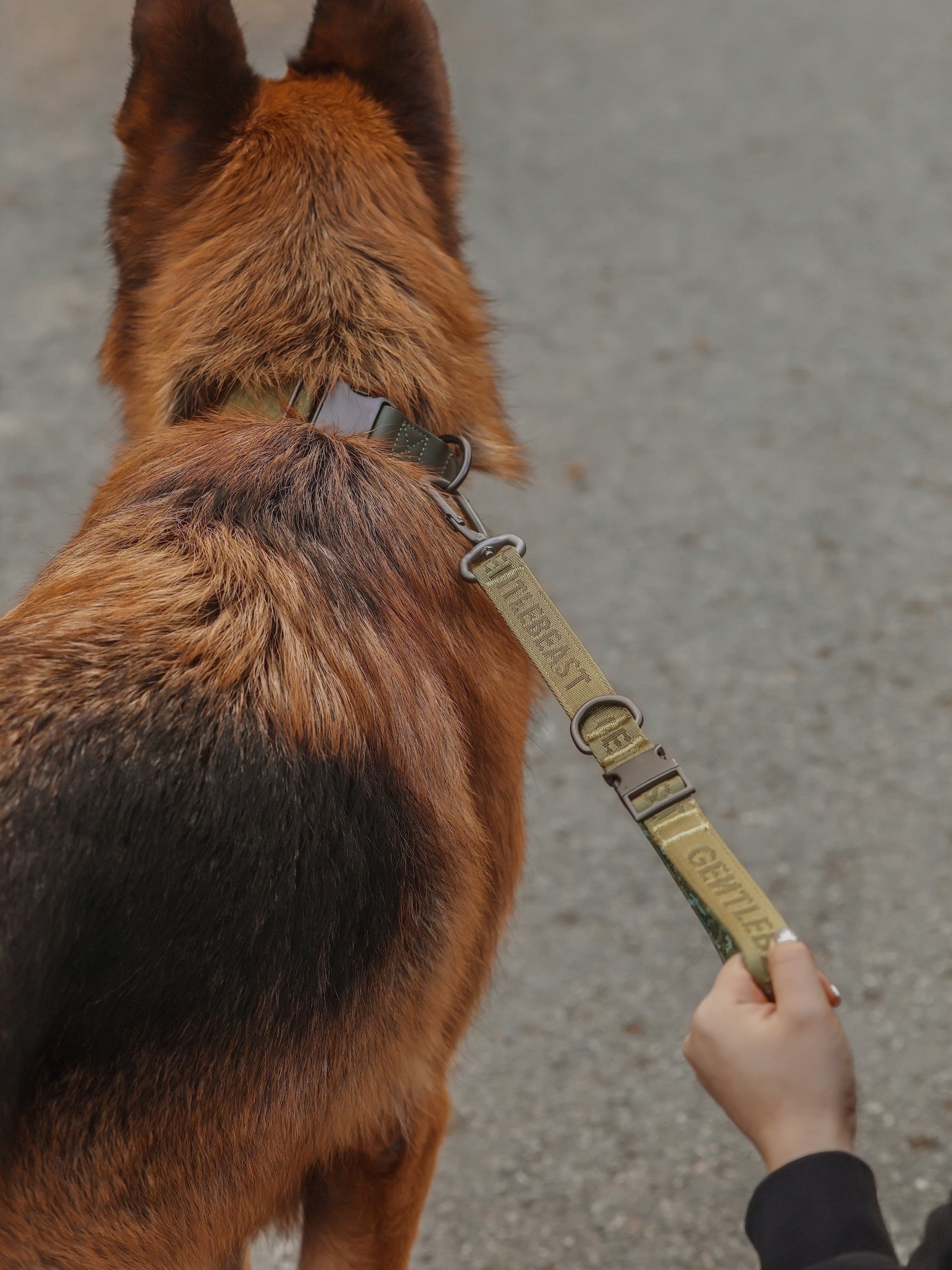 GENTLEBEAST green dog short leash displayed on a wooden surface with a metal clip visible.
