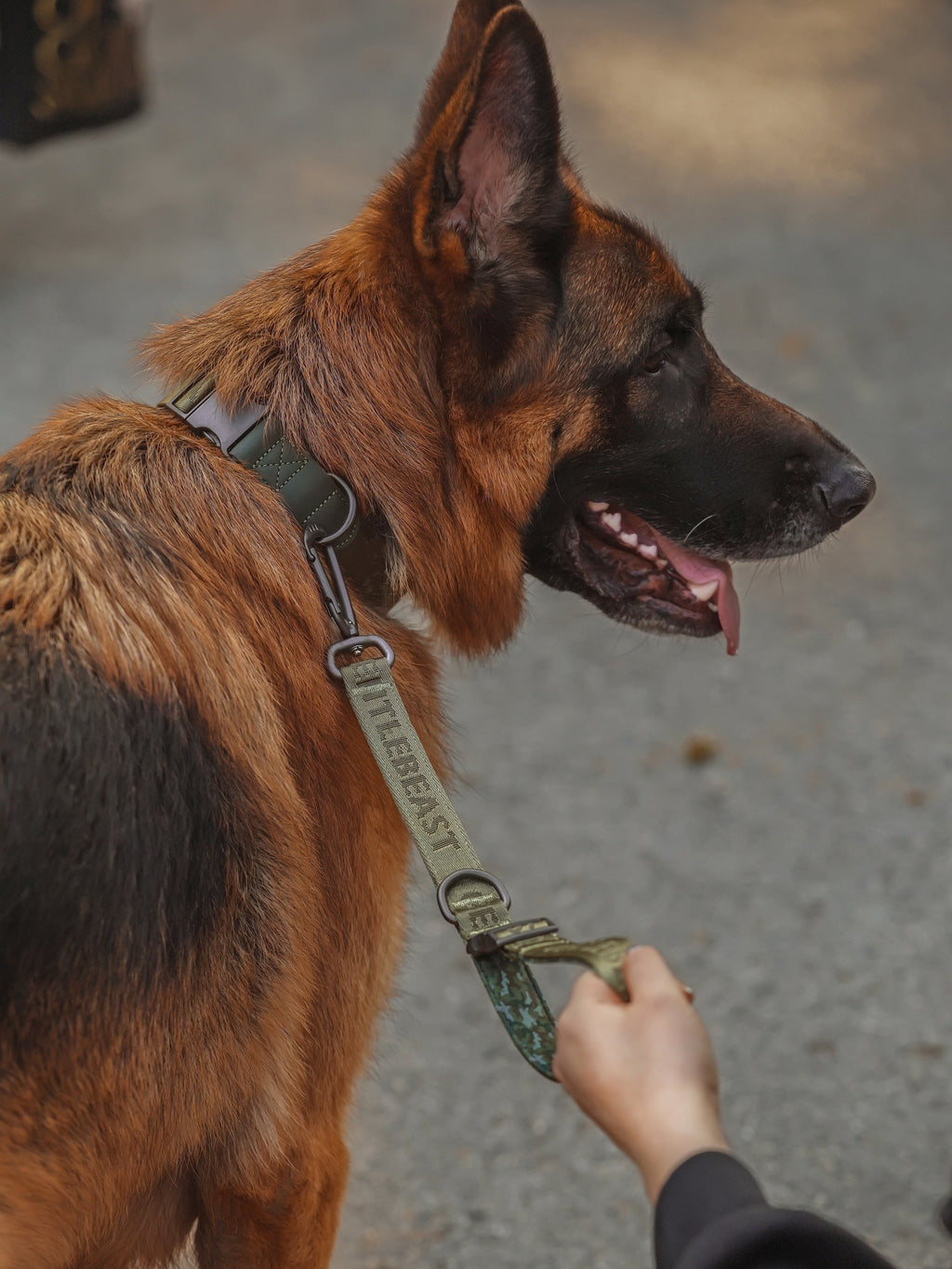 GENTLEBEAST green short leash for dogs, featuring a sturdy design and comfortable grip, laid flat on a textured surface.