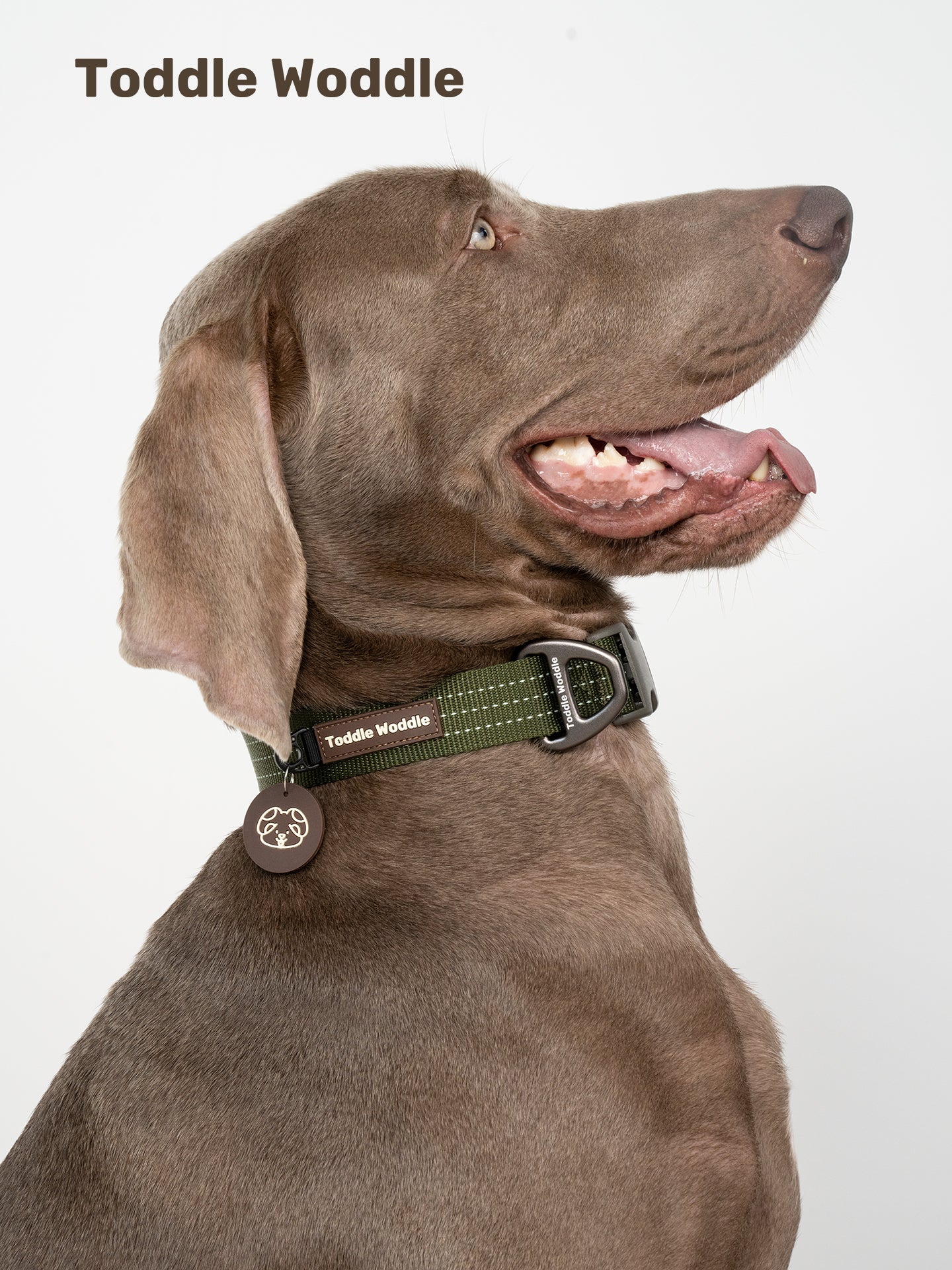 Woven Dog Collar - VOF