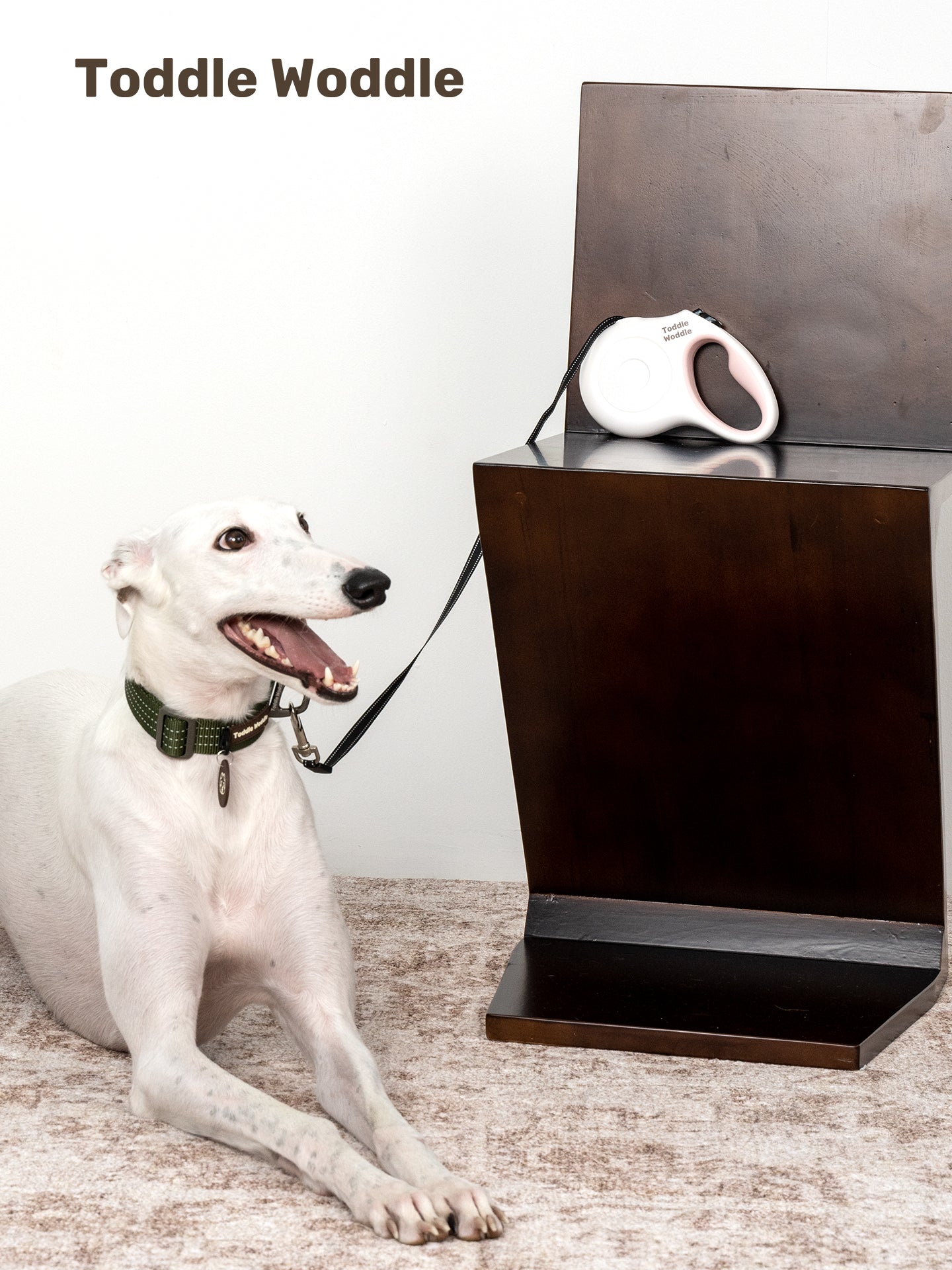 Retractable Dog Leash - VOF