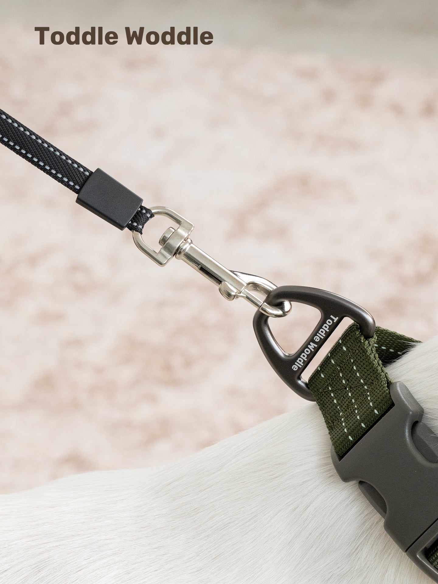 Retractable Dog Leash - VOF