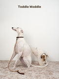 Leather Dog Leash - VOF