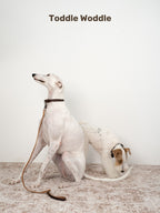 Leather Dog Leash - VOF