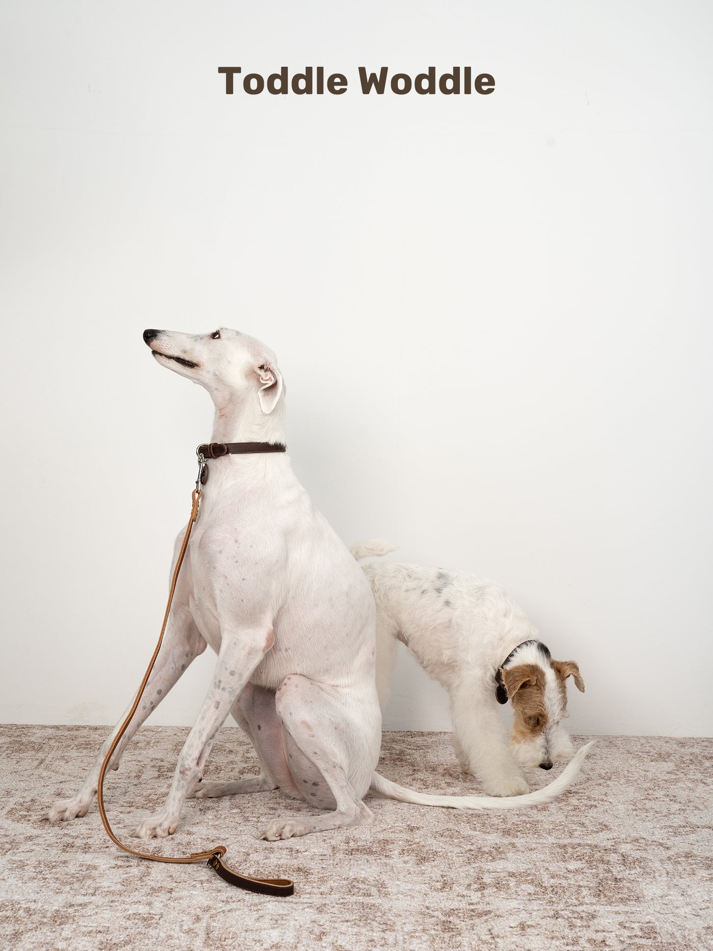Leather Dog Leash - VOF