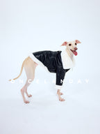 Dog Biker Jacket