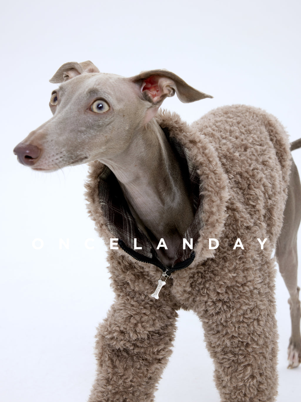 Shearling Dog Jacket