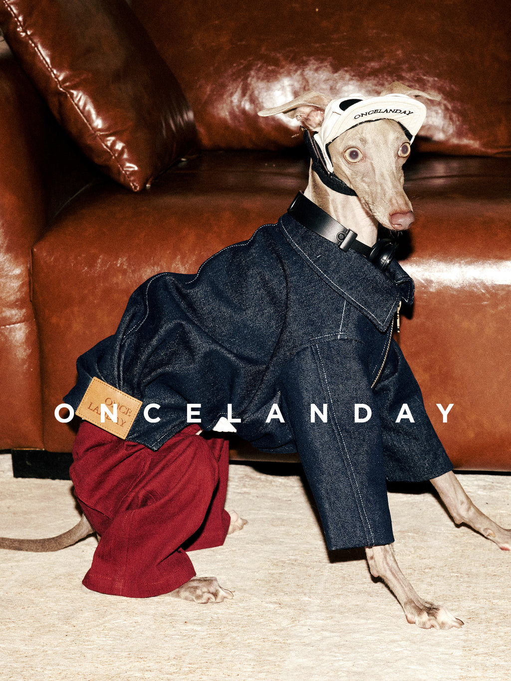 Vintage Style Red Dog Jeans