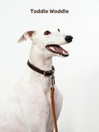 Leather Dog Leash - VOF