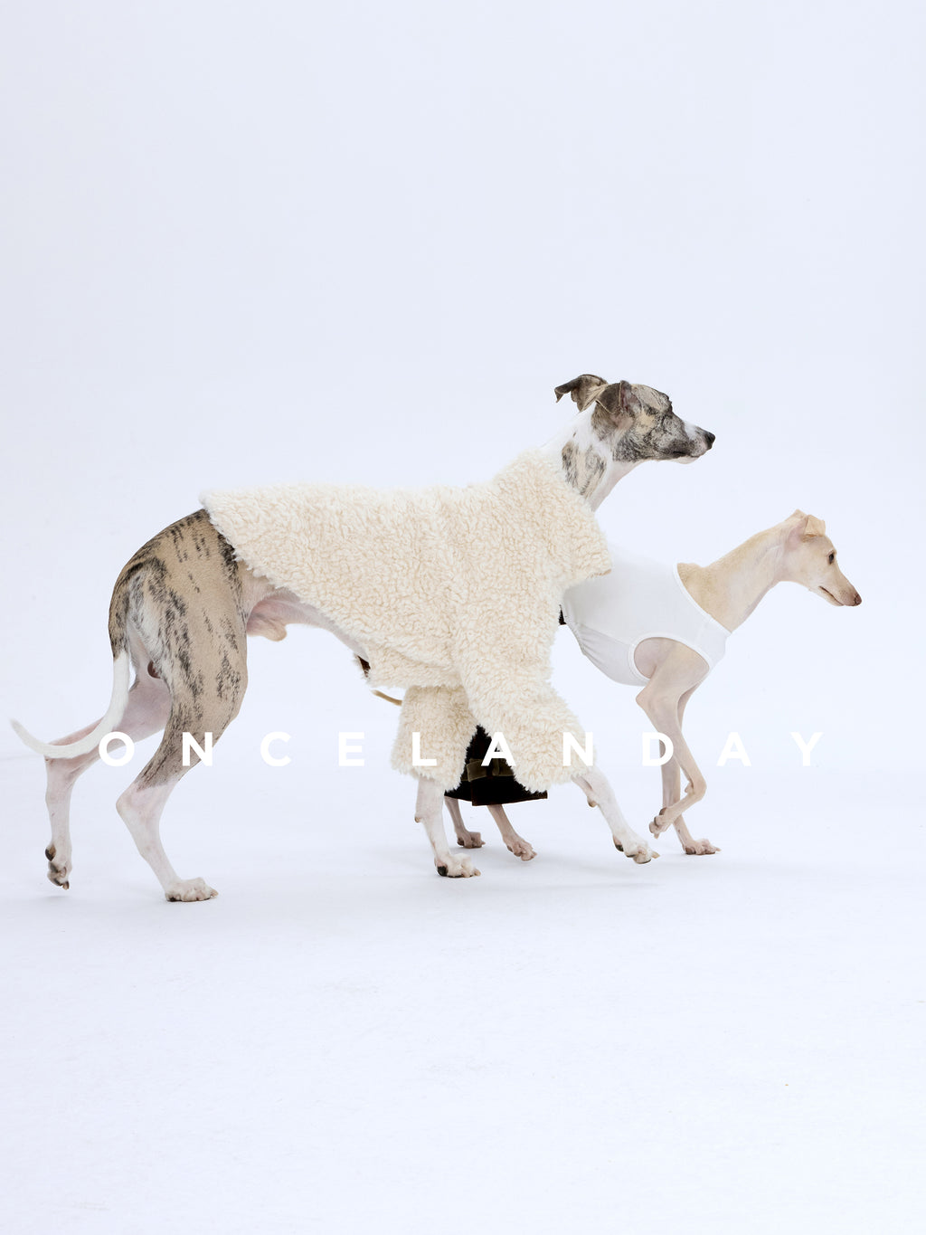 Shearling Dog Jacket