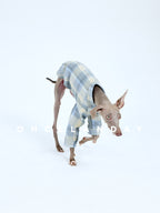 Plaid Dog Shirt
