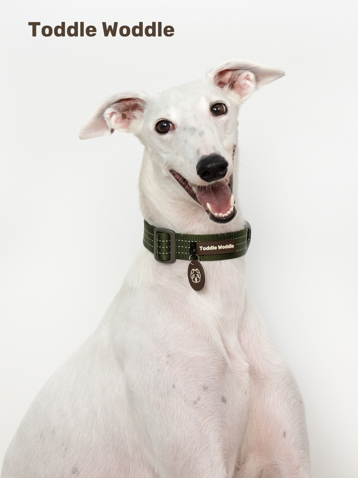 Woven Dog Collar - VOF