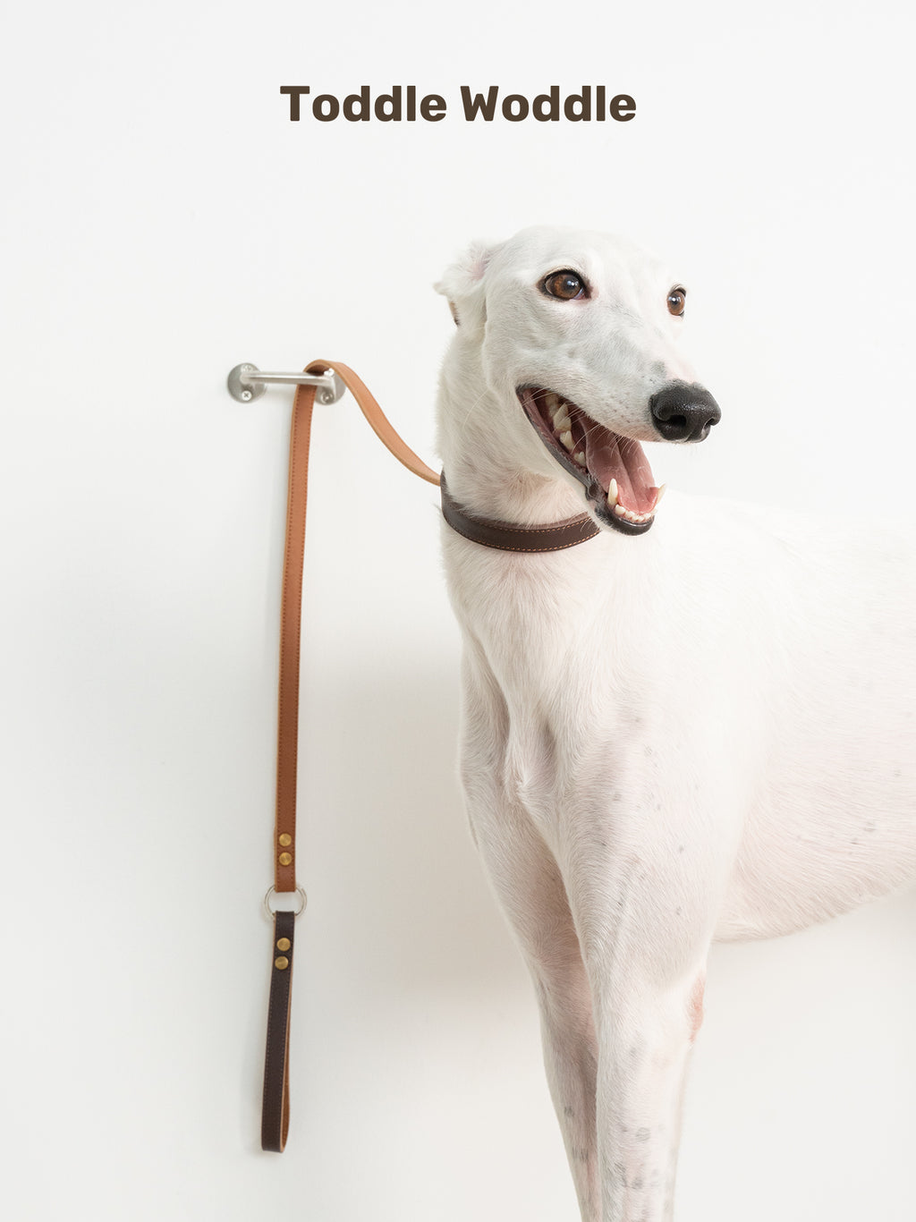 Leather Dog Leash - VOF