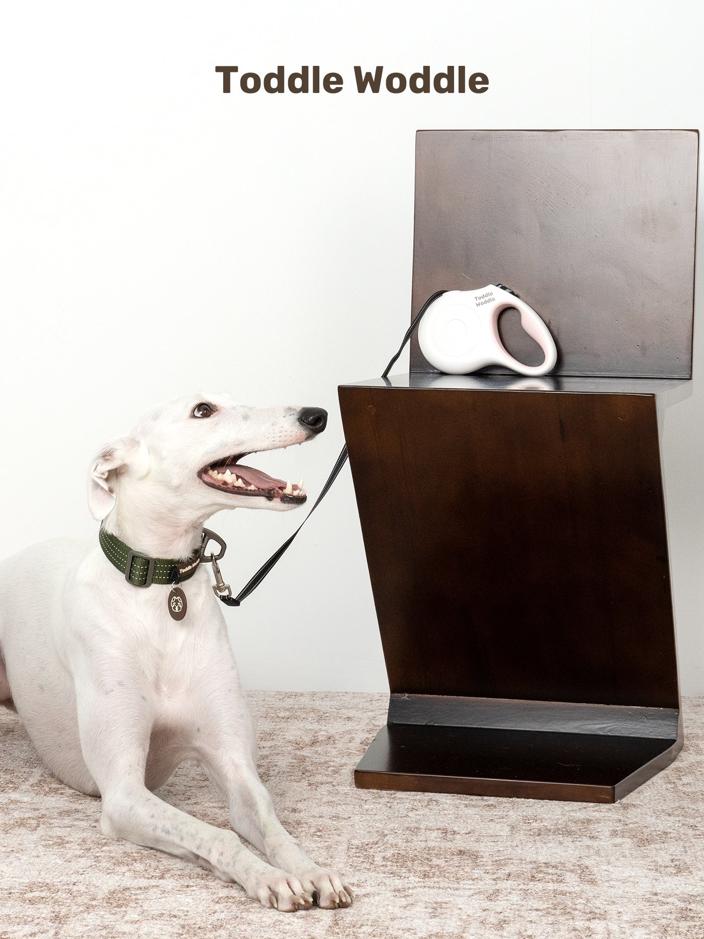 Retractable Dog Leash - VOF