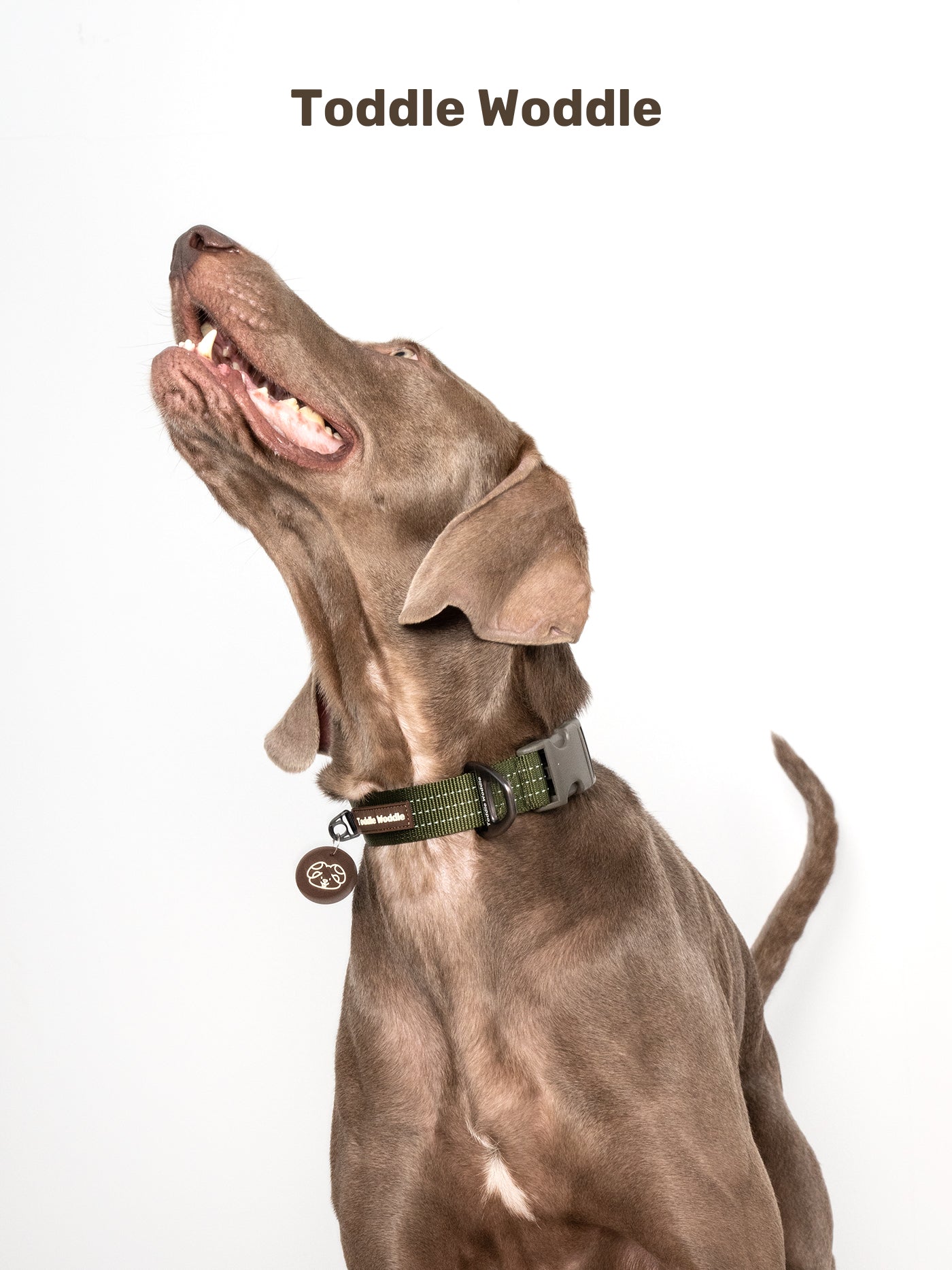 Woven Dog Collar - VOF