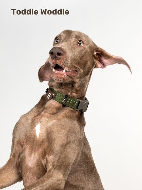 Woven Dog Collar - VOF