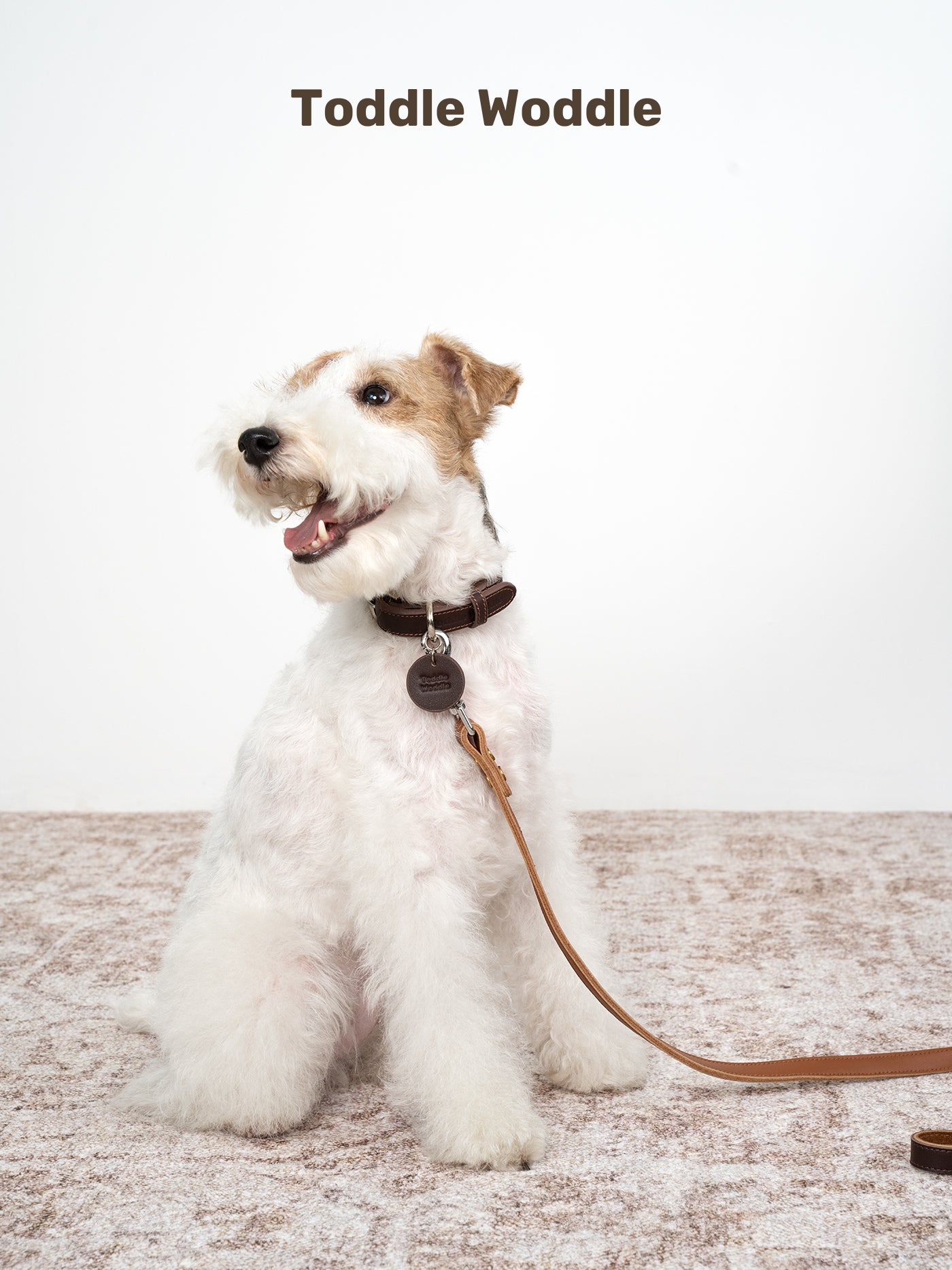 Leather Dog Leash - VOF