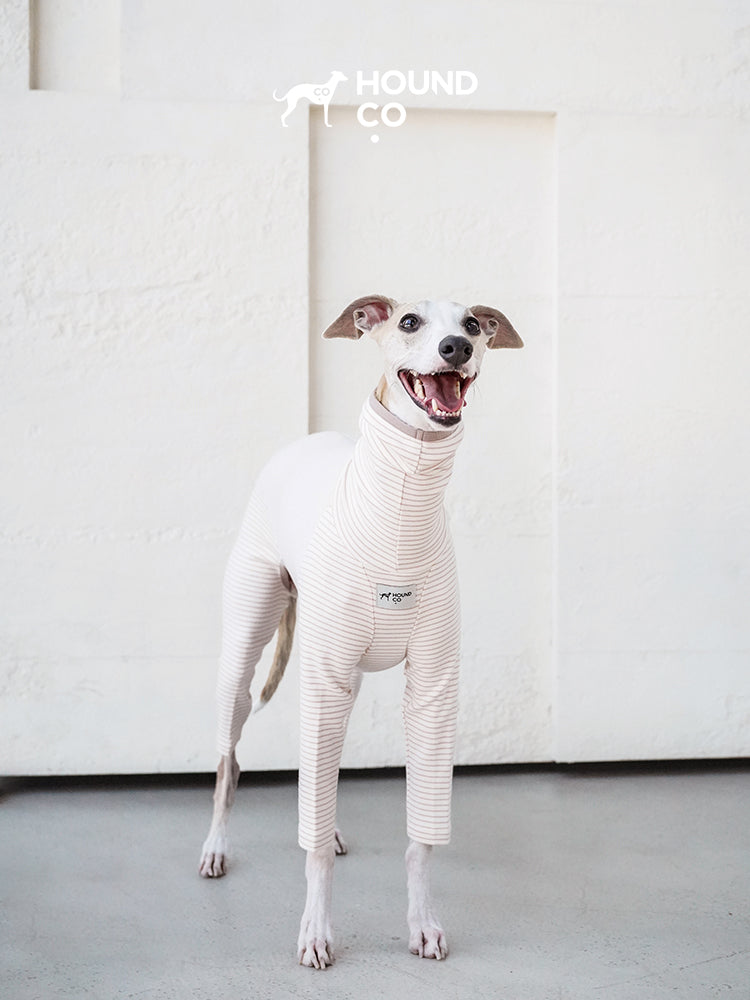 Strips Dog Pajama