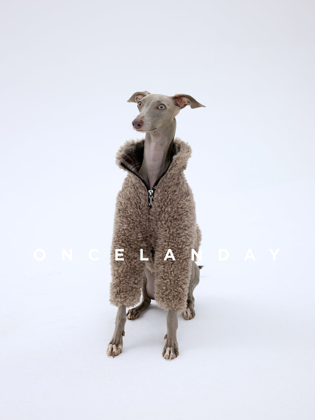 Shearling Dog Jacket