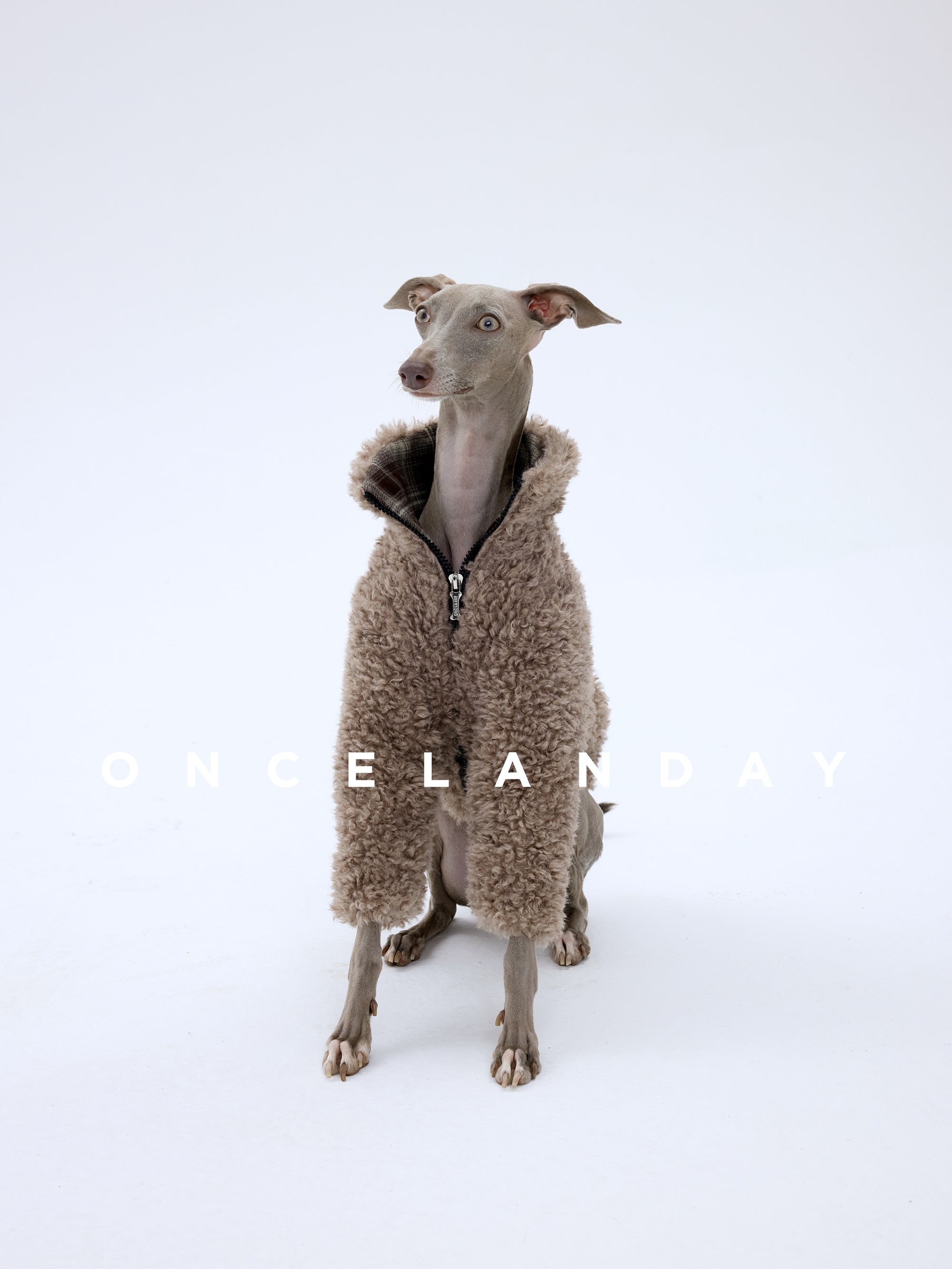 Shearling Dog Jacket