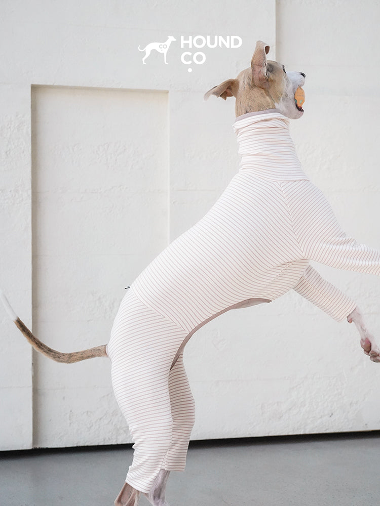Strips Dog Pajama