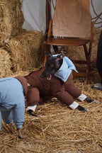 Reversible Waterproof Dog Down Jacket