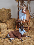 Reversible Waterproof Dog Down Jacket