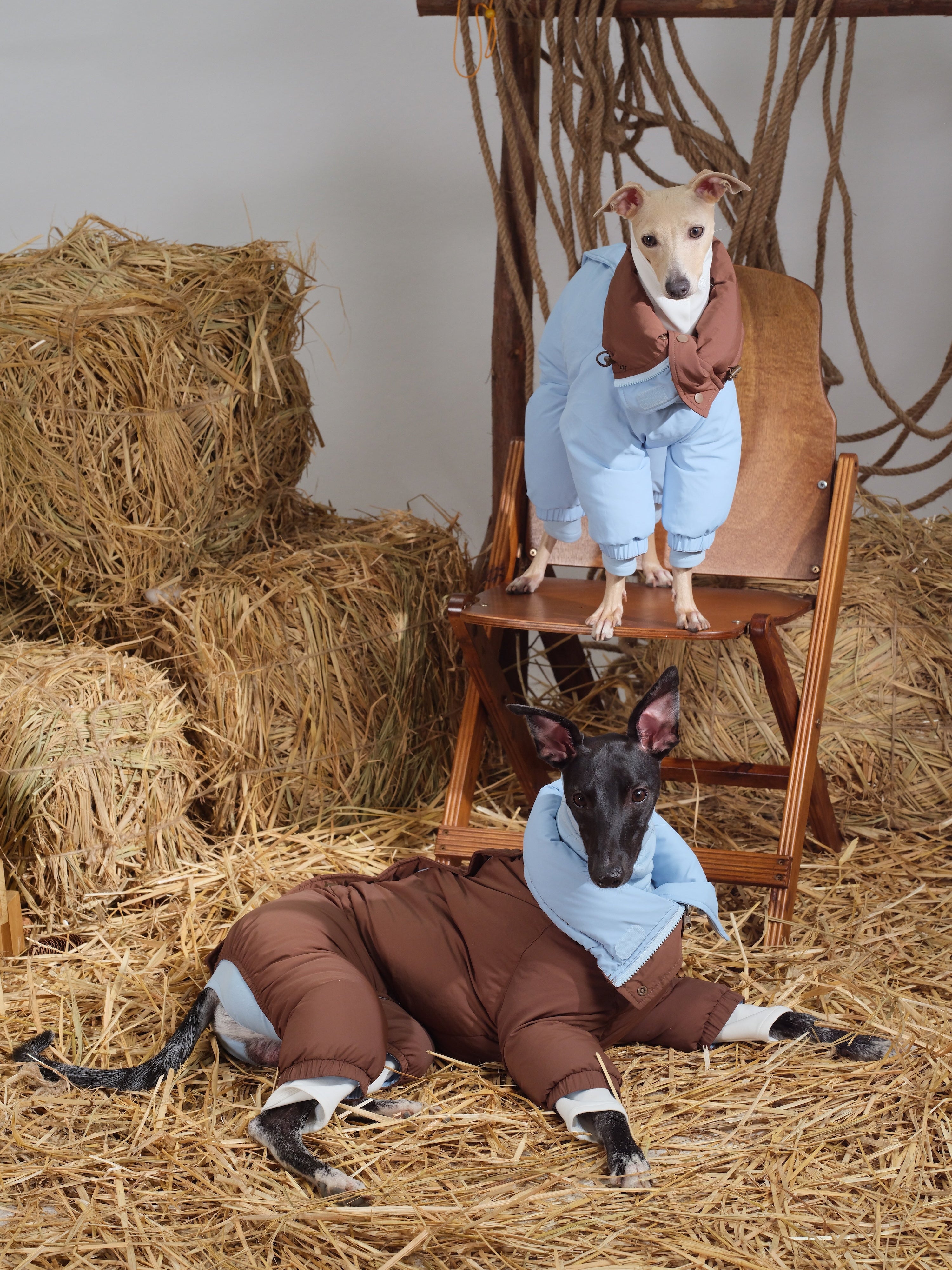 Reversible Waterproof Dog Down Jacket