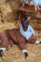 Reversible Waterproof Dog Down Jacket