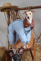 Reversible Waterproof Dog Down Jacket