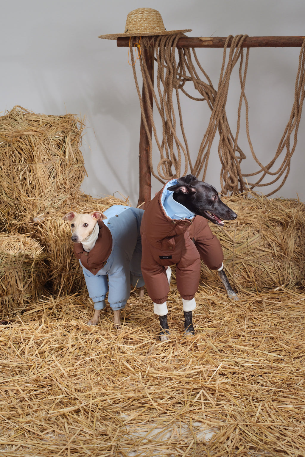 Reversible Waterproof Dog Down Jacket