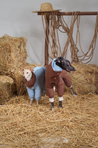 Reversible Waterproof Dog Down Jacket