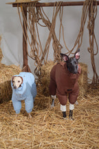 Reversible Waterproof Dog Down Jacket