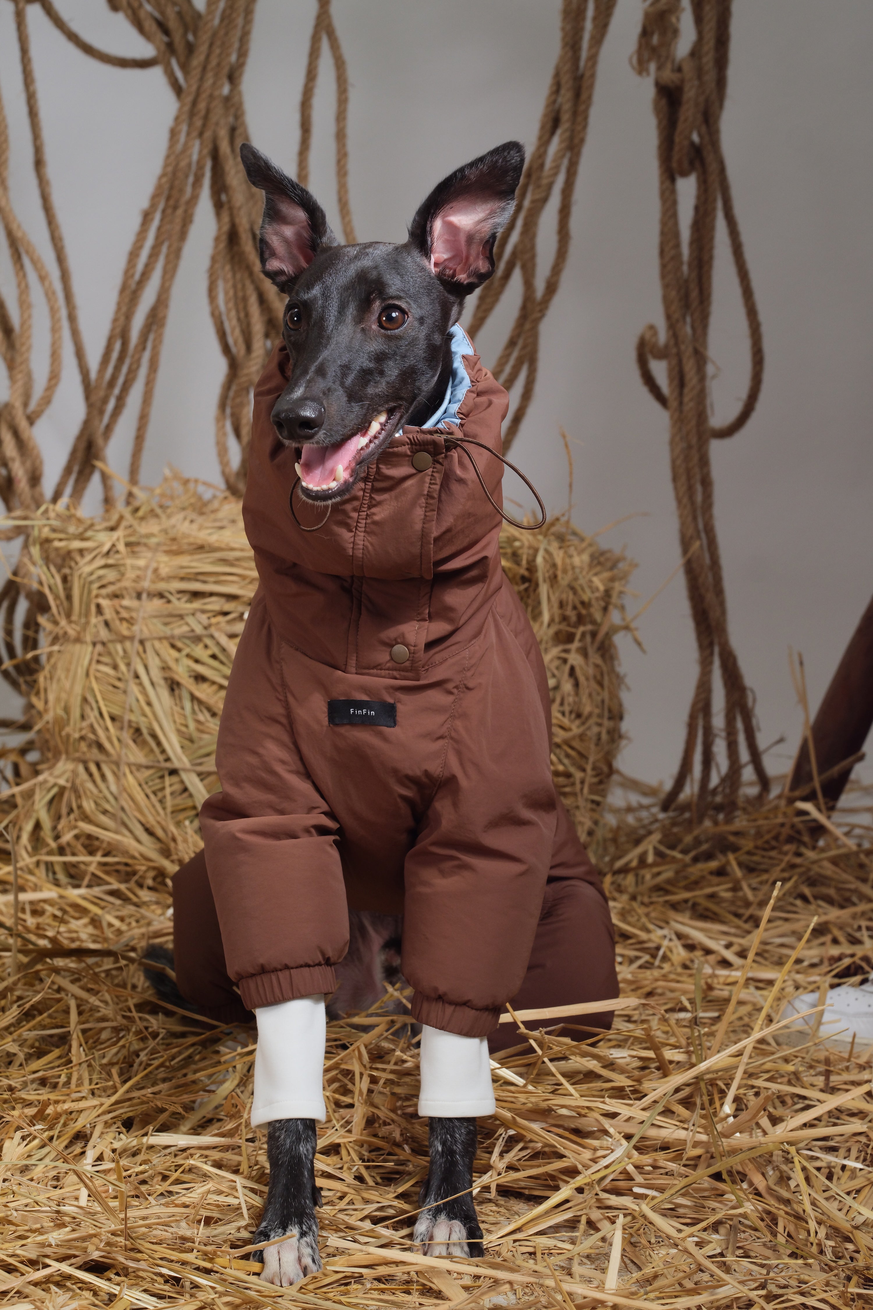 Reversible Waterproof Dog Down Jacket