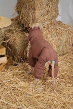Reversible Waterproof Dog Down Jacket
