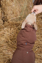 Reversible Waterproof Dog Down Jacket