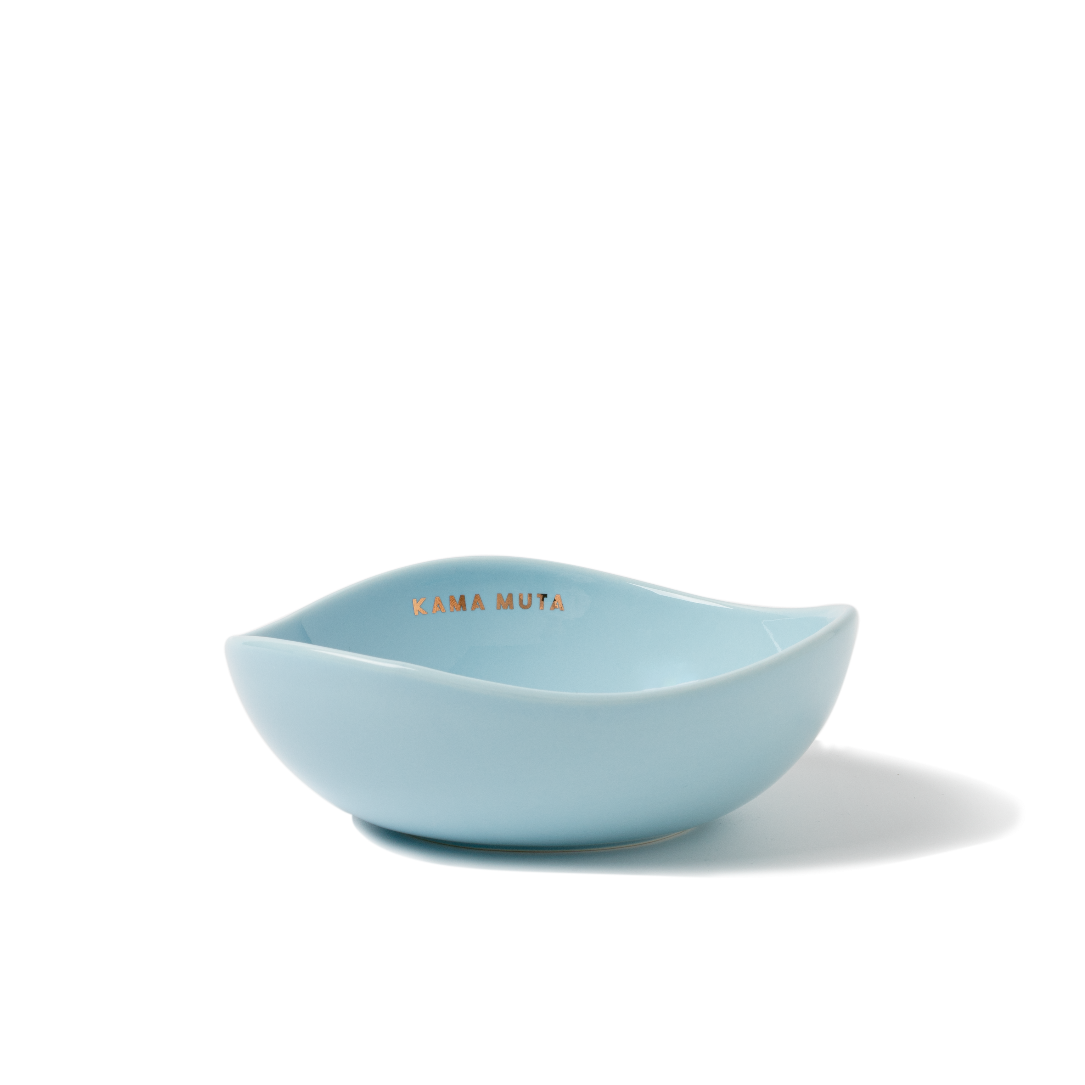 Ceramic Pet Bowl Light Blue