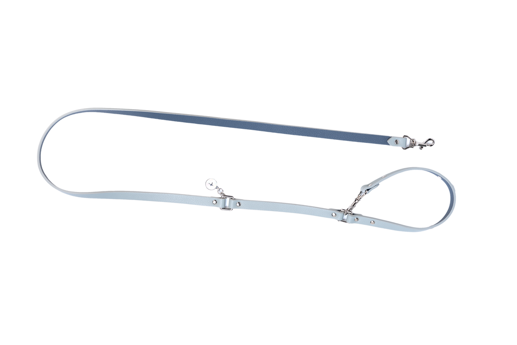 Dog leash with metal clips on a white background