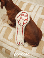Dog playing with paaaata hand towel on a patterned carpet