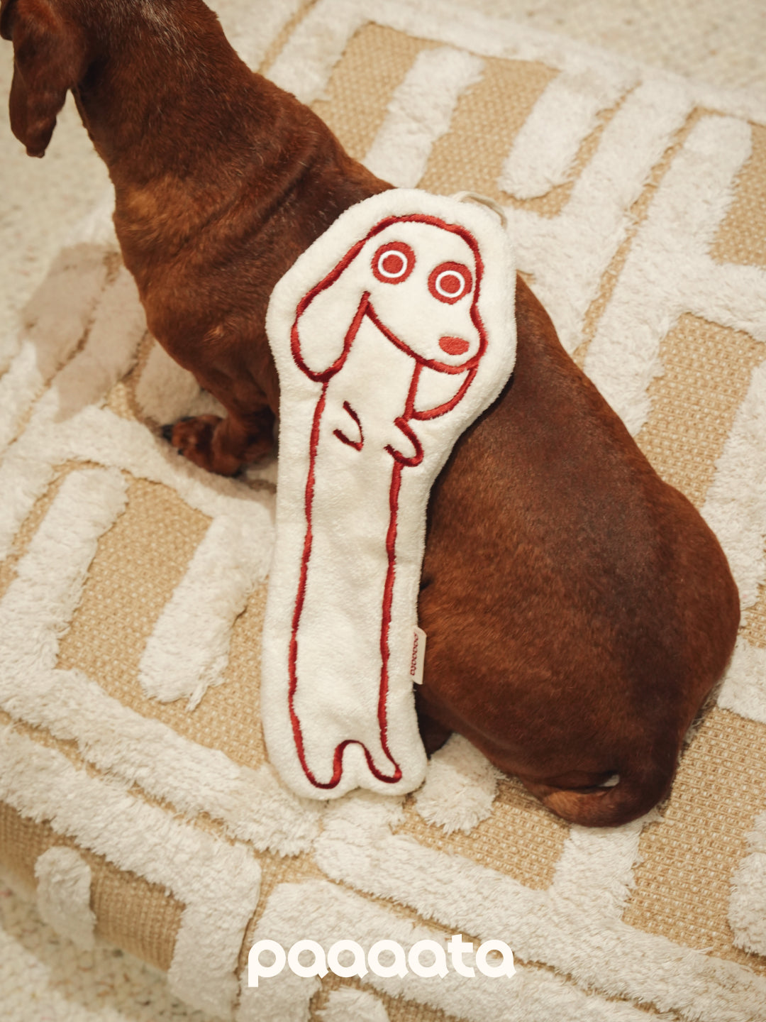 Dog playing with paaaata hand towel on a patterned carpet