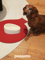 Dog standing next to a white bowl on a red mat with 'paaaata' branding.